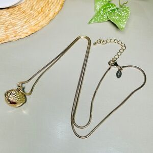 CHICO’S Acorn Briar Ball Long Necklace.  With delightful Acorn Shaped Pendant.